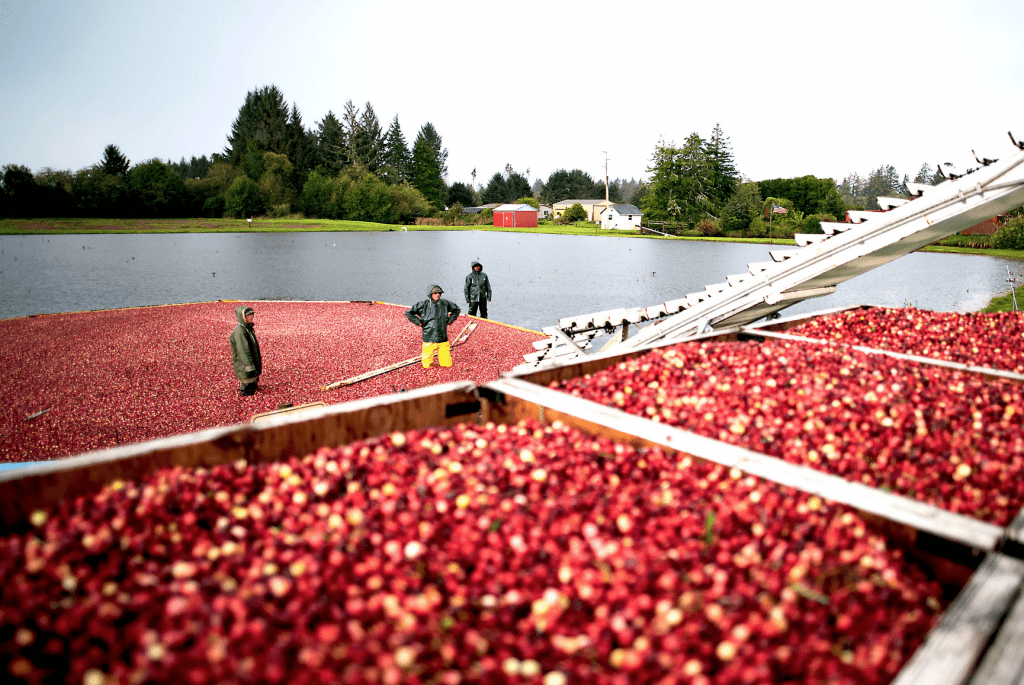 Cranberry Museum near the beach in Long Beach Washington at our hotel in Long Beach Washington at Chautauqua Resort