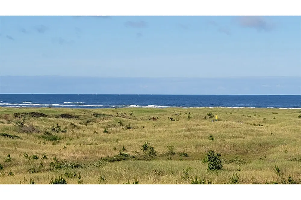 Oceanfront guest room with a view of the dunes