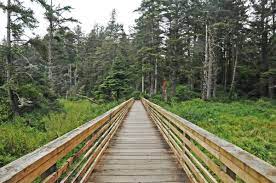 Beards Hollow Hike near the beach in Long Beach Washington at our hotel in Long Beach Washington at Chautauqua Resort